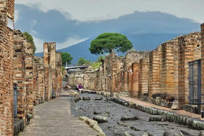 Pompeii Private Guided Tour from Naples - Pompeii Private Guided Tour from Naples: An In-Depth Look