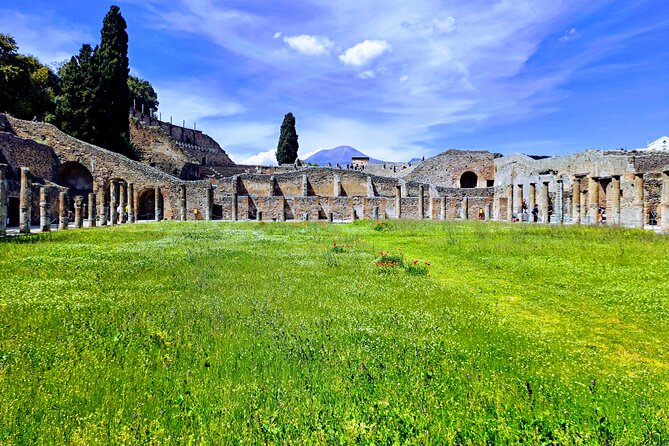 Pompeii Private Guided Tour from Naples - Starting Point and Transportation Details