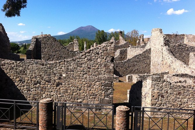 Pompeii Private Half-Day Tour from: Naples,Sorrento, Amalfi Coast - The Highlight: Panoramic Views of Naples from Piazza del Plebiscito