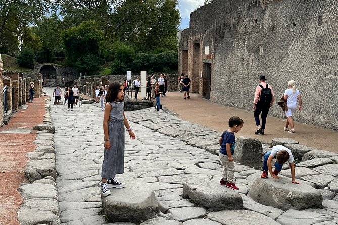 Pompeii Private Tour from Naples Cruise, Port or Hotel Pick Up - Pricing and Value Considerations