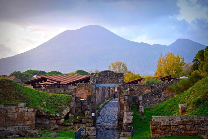 Pompeii Private Tour From Rome with Guide and Entrance tickets - How the Tour Organizes the Pompeii Visit