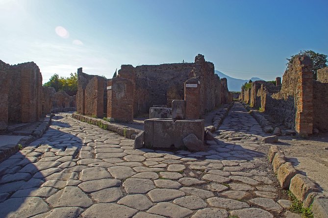 Pompeii Private Tour From Rome with Guide and Entrance tickets - Value and Pricing Considerations