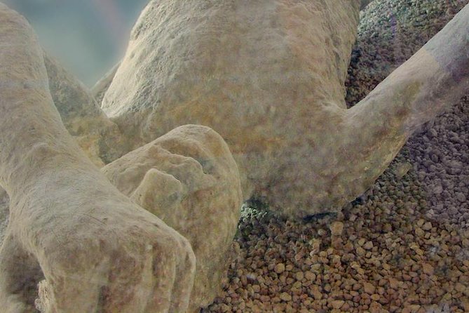 Pompeii Private Tour from Sorrento Entrance fees included - Free Time and Shopping in Sorrento After the Tour