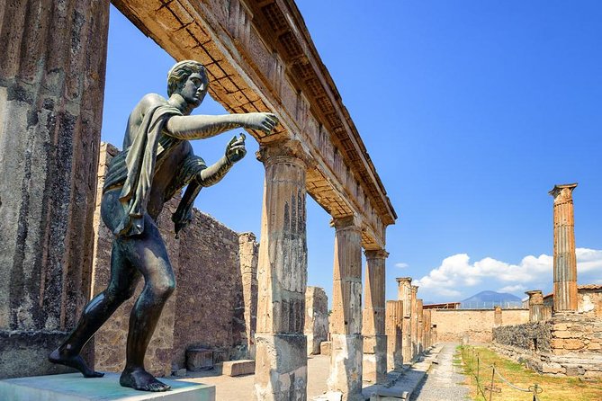 Pompeii Private Tour from Sorrento Entrance fees included - Flexibility and Booking Considerations