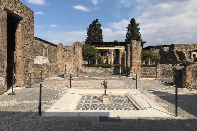 Pompeii Private Tour with Expert Guide - Pacing and Flexibility for All Ages