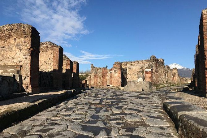 Pompeii Private Tour with Expert Guide - Practical Considerations: Accessibility and Booking