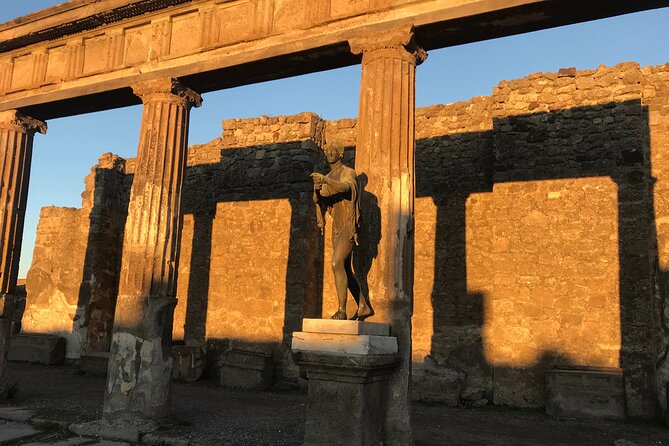Pompeii Private Tour with expert local guide - The Role of the Expert Guide, Paola