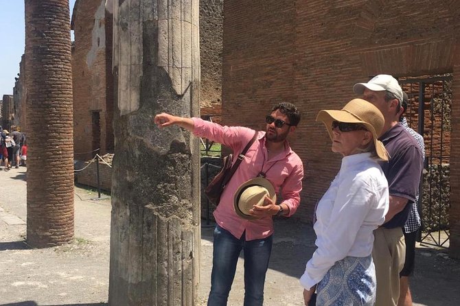 Pompeii Private Tour with Transportation and Archaeologist - Logistics: Pickup, Drop-Off, and Group Size