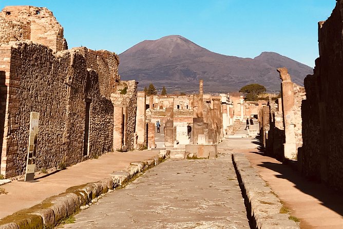 Pompeii Private Tour with Transportation and Archaeologist - Comparing Similar Tour Options