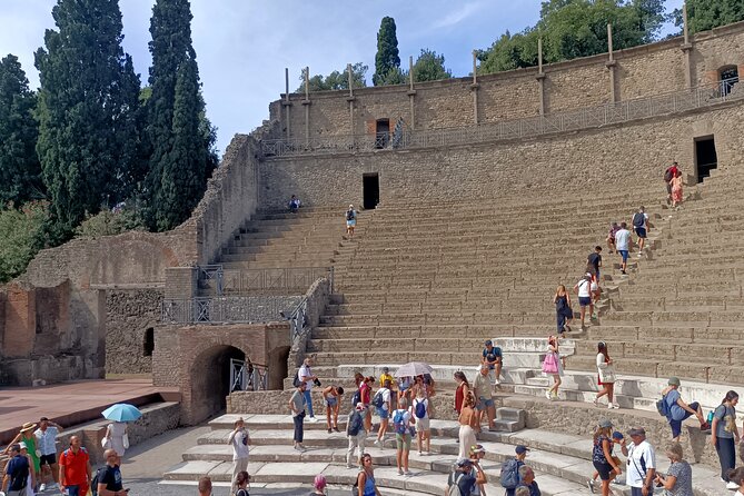 Pompeii ruins and Archaeological Museum private tour from Rome - Practical Details and Considerations