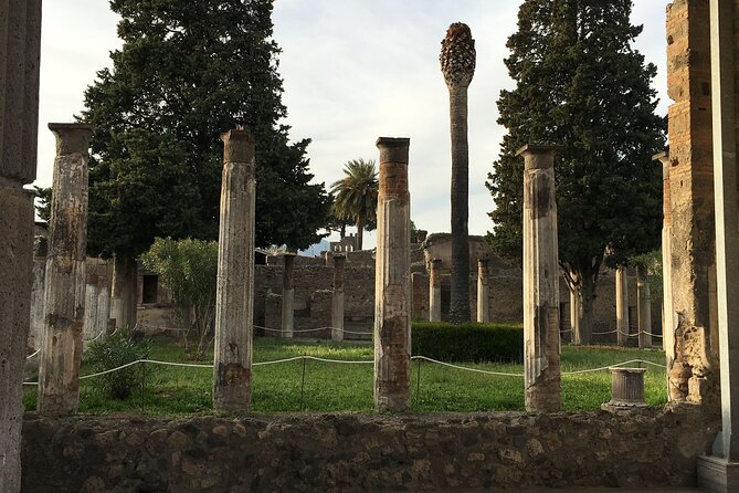 Pompeii Ruins and Herculaneum and Vesuvius Private Tour - Exploring the Pompeii, Herculaneum, and Vesuvius Private Tour