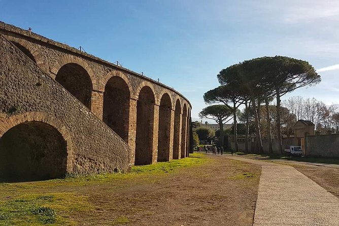 Pompeii Ruins: Day Trip from Naples with skip the line ticket - Practical Details: Meeting Points and Timing
