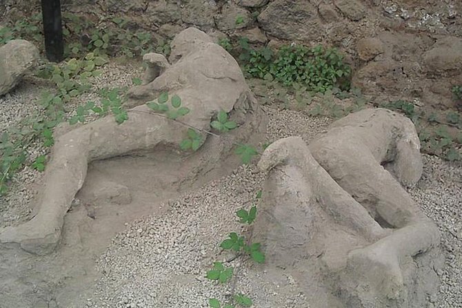 Pompeii Ruins Excursion for 3 hours (round-trip included) - Flexibility for Sightseeing and Extra Services