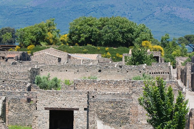 Pompeii Ruins Half-Day Tour from Sorrento with Guide - How This Tour Compares to Other Excursions