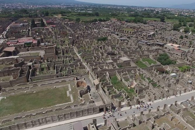 Pompeii Ruins visit for 3 hours (round-trip included) - Discover Pompeiis Ruins with a Private Self-Guided Tour from Naples