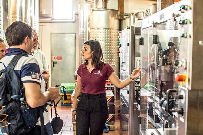 Pompeii Ruins & Wine Tasting with Lunch on Vesuvius with Private Transfer - Including Wine, Olive Oil, and Neapolitan Lunch