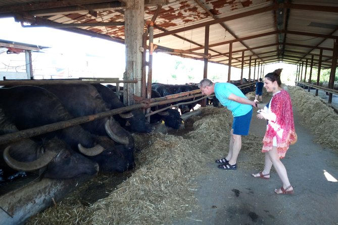 Pompeii Skip-The-Line and Positano Full-Day from Rome - Free Time in Positano: Exploring Italy’s Pearl of the Amalfi Coast