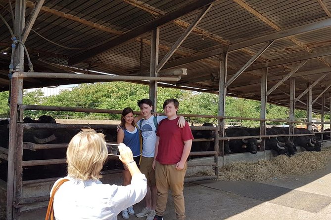Pompeii Skip-The-Line and Positano Full-Day from Rome - Guided Tour of Pompeii with Skip-the-Line Access
