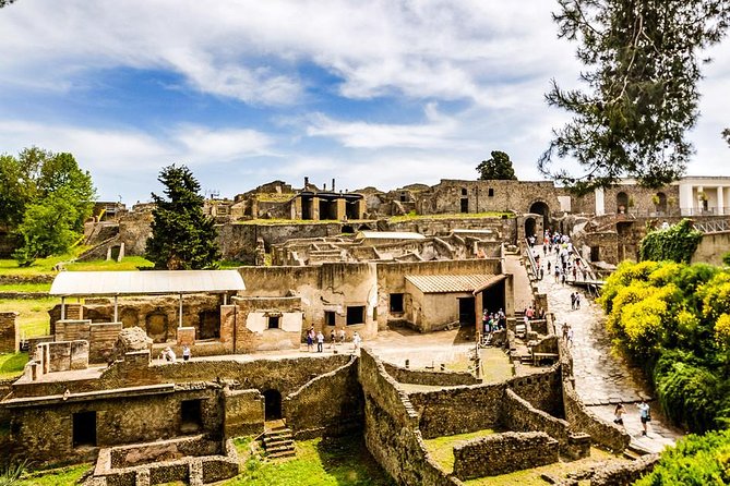 Pompeii Skip-the-Line Entry & Guided Tour of the Ruins - The Pacing and Group Size
