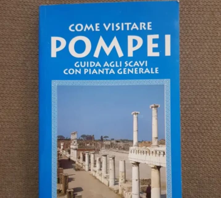 Pompeii: Skip the Line Entry Ticket (art) with Book - Practical Details: Meeting Point and Entry Process