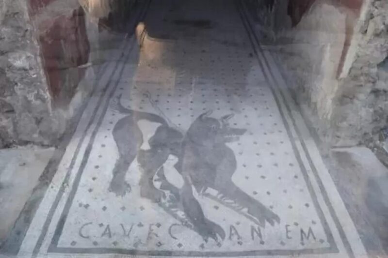 Pompeii: Skip the Line Ticket + Audioguide - Who Should Consider This Tour?