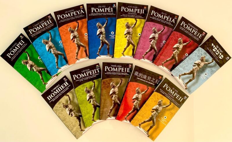 Pompeii Skip the Line Ticket + Guide Book with itineraries - Physical and Practical Considerations for Visiting Pompeii