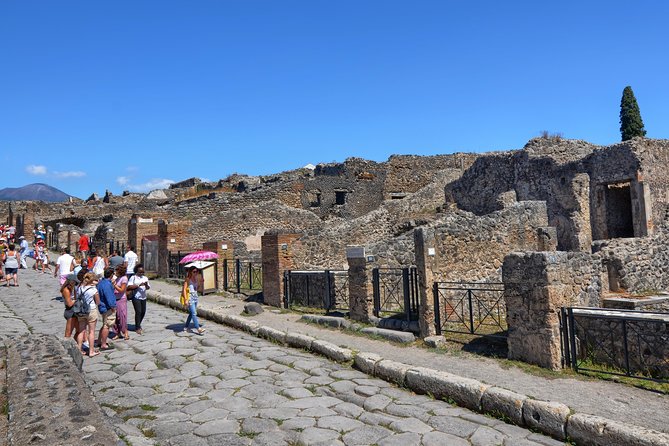 Pompeii: Skip-the-line-Ticket with Guided Tour - Who Should Book This Pompeii Guided Tour?