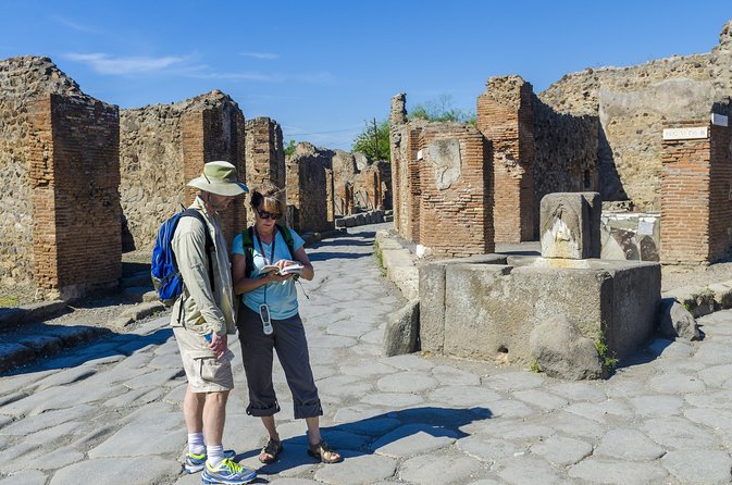 Pompeii Small Group Tour with an Archaeologist - Viewing the Granaries and Victims’ Casts