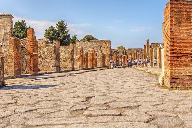 Pompeii Ticket with Optional Guided Tour - The Value of Guided Tours Versus Self-Guided Visits