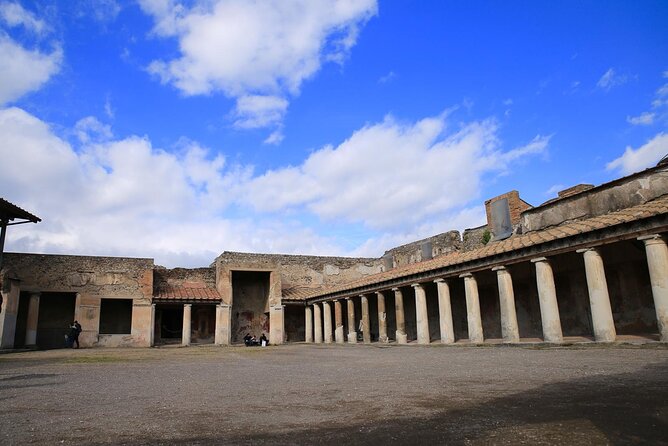 Pompeii to Vesuvius Tour with Skip-the-Line Tickets to Ruins & Volcanic Crater - Tour Reviews and Realities