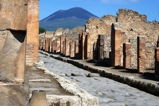 Pompeii Tour from Sorrento (tickets not included) - Clarification on Tour Inclusions and Limitations