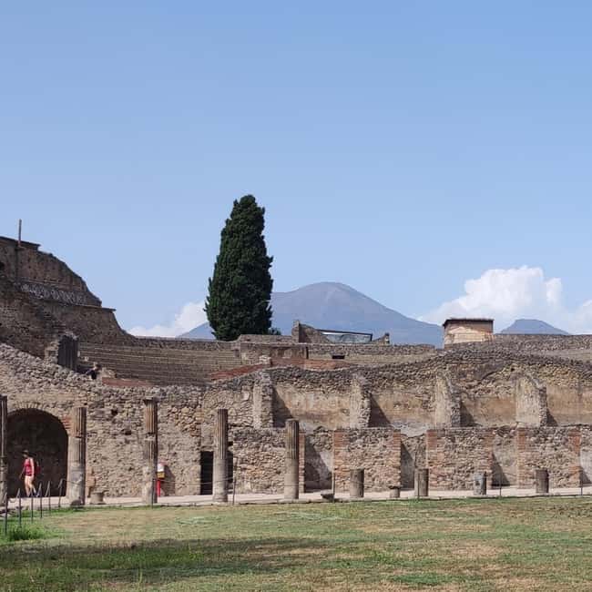 Pompeii Tour with Archaeological Expert and Lunch - Visiting the Lupanare and Roman Forum: Key Highlights