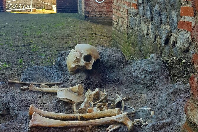 Pompeii: Tour with Archaeologist Guide & Skip-the-Line Entry - Key Points