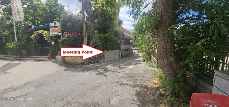 Pompeii: Tour with Archaeologist Guide & Skip-the-Line Entry - Key Points