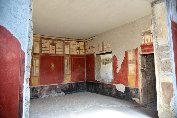 Pompeii tour with entrance ticket! - The Guided Tour and Expert Commentary