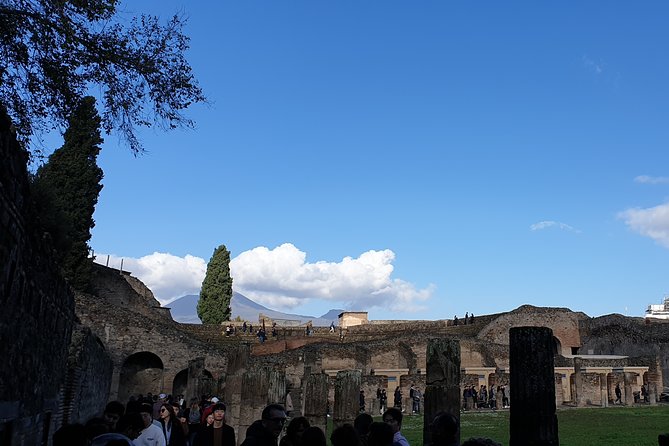 Pompeii tour with entrance ticket! - Why This Tour Stands Out Among Pompeii Options