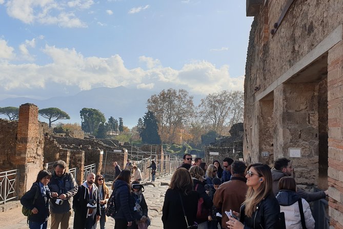 Pompeii tour with entrance ticket! - Potential Limitations and Considerations