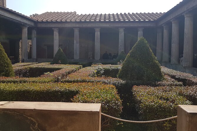 Pompeii Tour with experienced guide - The Amphitheater and Gladiator Gym: Highlights of the Tour