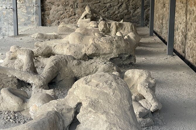 Pompeii Tour with Skip The Line Ticket 2h 30min - Practical Information: Meeting Points and Accessibility