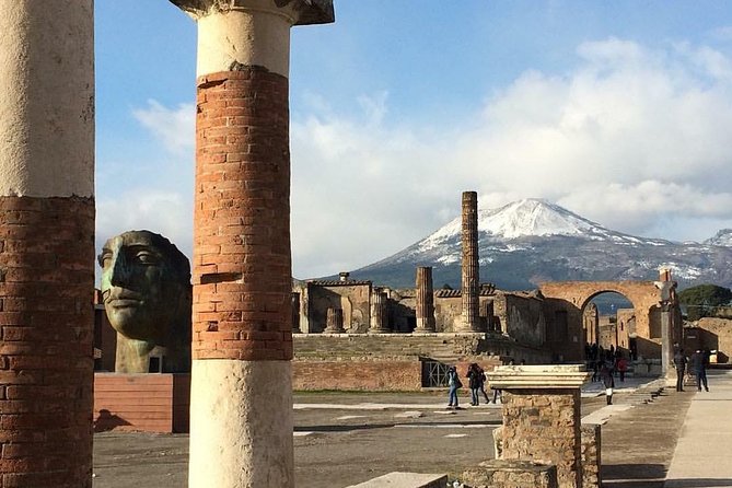 Pompeii Tour with Ticket INCLUDED and Expert Guide - The Macellum and Pompeii Bodies