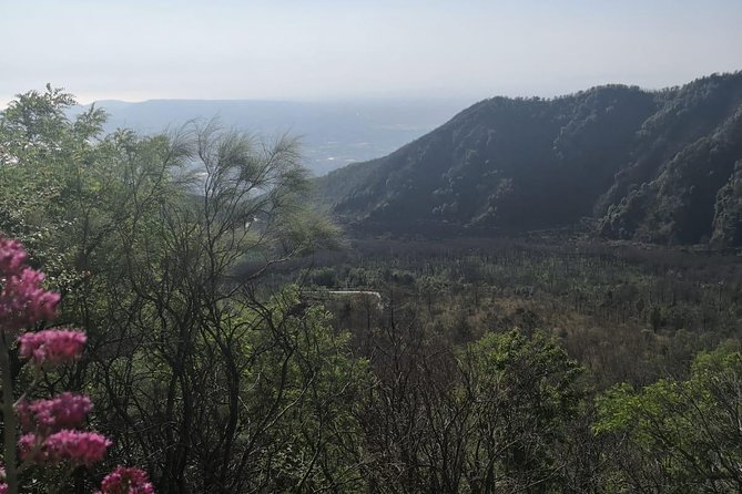 Pompeii Vesuvius All-Inclusive from Naples with Lunch & Guide - Pacing and Physical Considerations