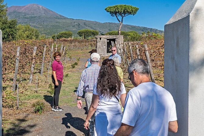 Pompeii Vesuvius Day Tour from Naples with Italian Lunch and Wine - Logistics: Comfort and Timing