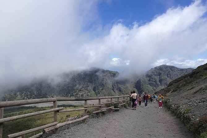 Pompeii & Vesuvius entrance fees included - Daily From Sorrento - Practicality and Value for Money