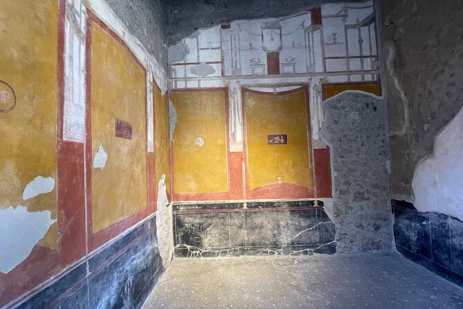 Pompeii & Vesuvius & Lunch from Positano All Inclusive - Convenience of Air-Conditioned Transport and Skip-the-Line Entry