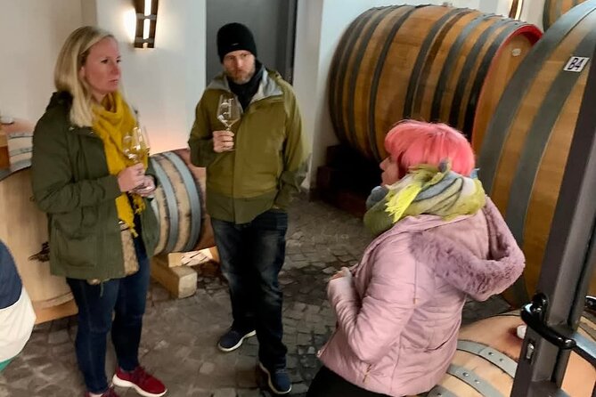 Pompeii Vesuvius Wine Farm Tour - Exploring Pompeii in Detail