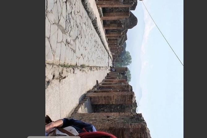 Pompeii, Vesuvius & Wine Tasting Private day Tour - Discover Pompeii’s Ancient Ruins and Roman Heritage