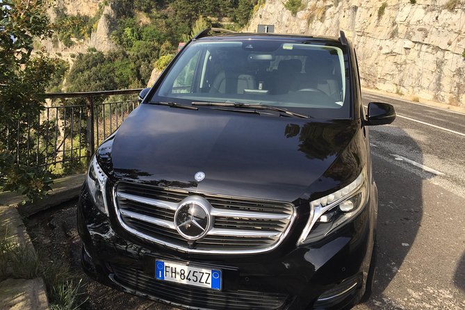 Pompeii-Vesuvius-Wine tour from Sorrento, licensed guide included - The Experience of the Guides and Visitors’ Praise