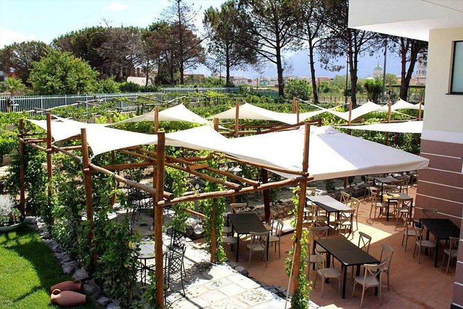 Pompeii & Vesuvius with Lunch & Wine Tasting from Amalfi Coast - A Tour Perfect for Active Explorers