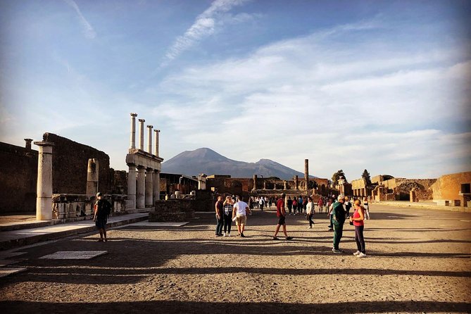 Pompeii & Vesuvius with Lunch & Wine Tasting from Positano - Value and Overall Experience