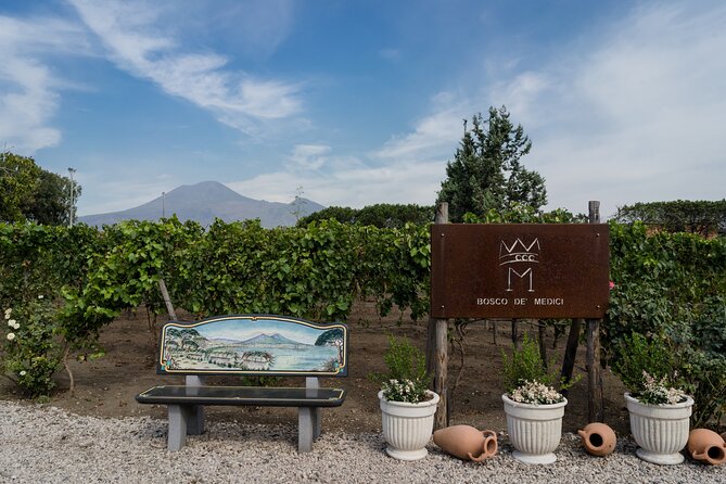 Pompeii Vineyard Escape: Private Wine Tasting & Lunch - Exploring Pompeii’s Vineyards and Ancient Ruins